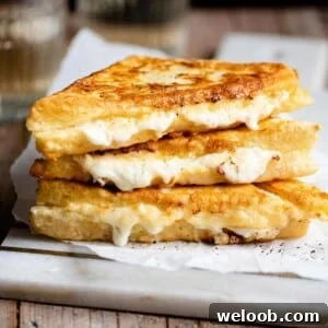A close up image of fried mozzarela sandwiches