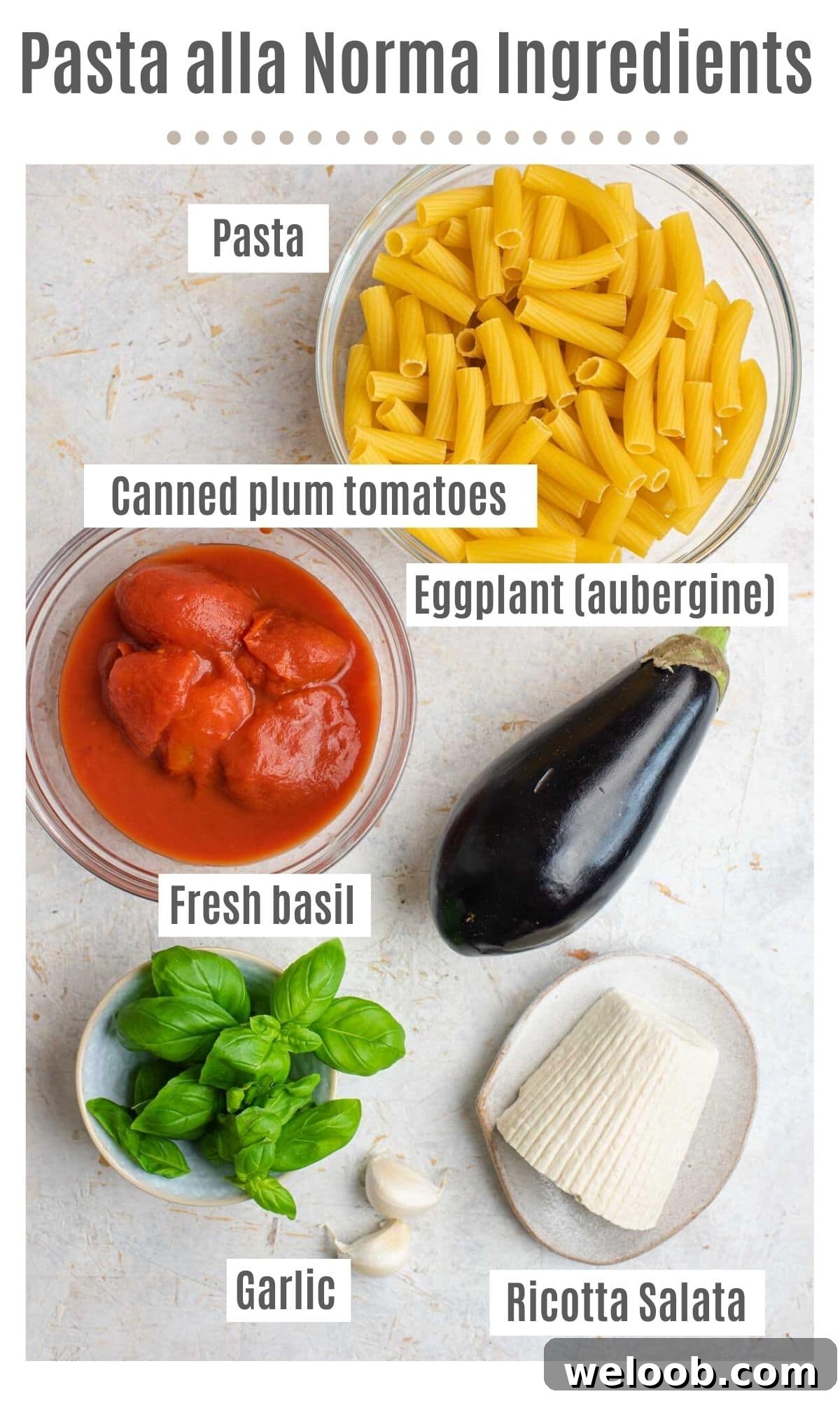 An overhead shot of all the ingredients you need to make pasta alla Norma
