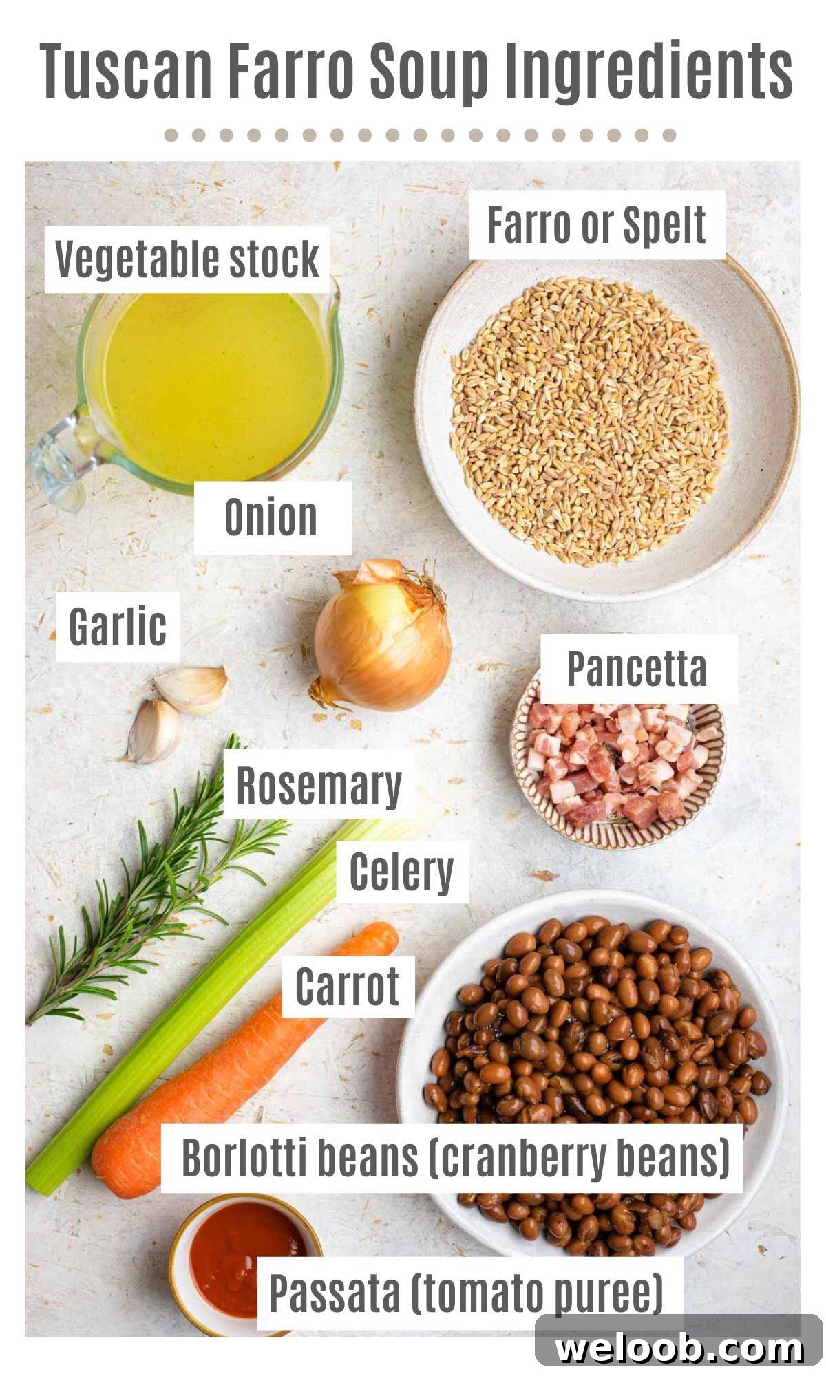 An overhead shot of all the ingredients you need to make Tuscan farro soup