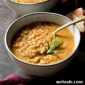 A close up of a bowl of farro soup