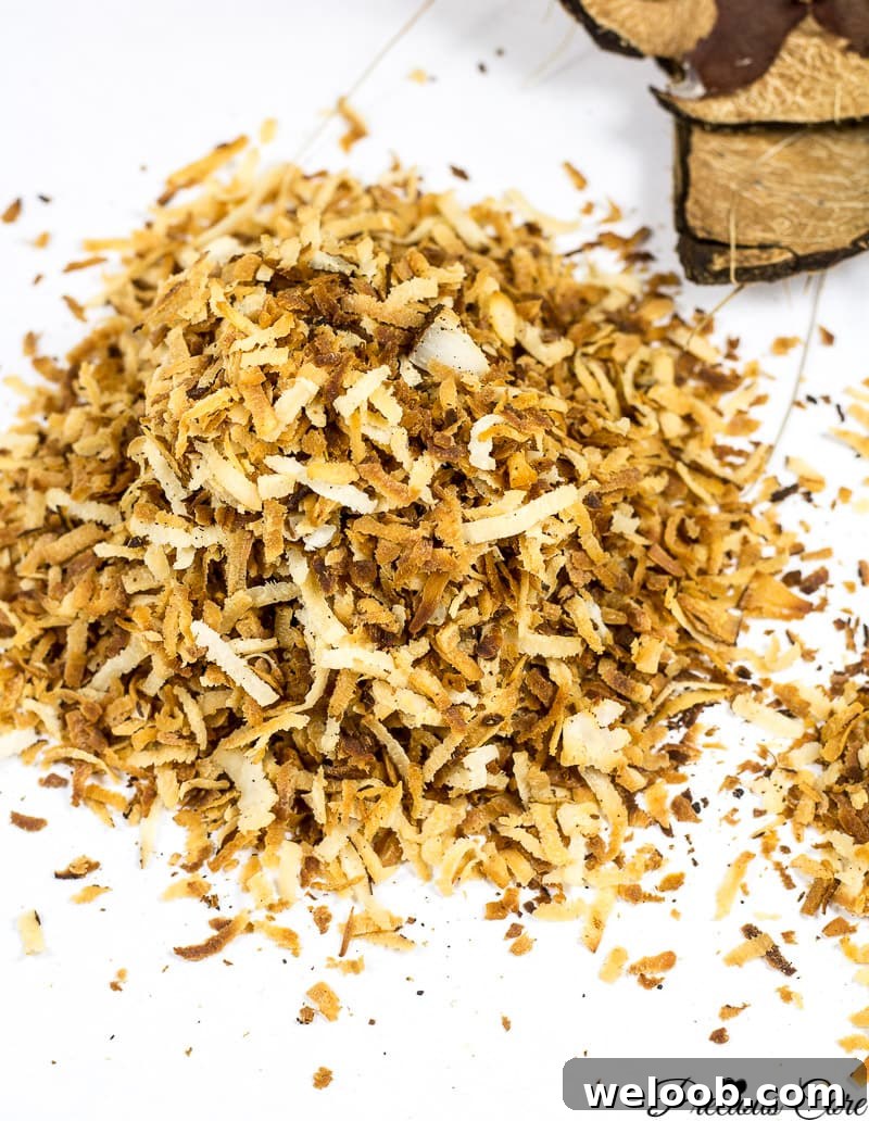Toasted coconut flakes on a white surface.