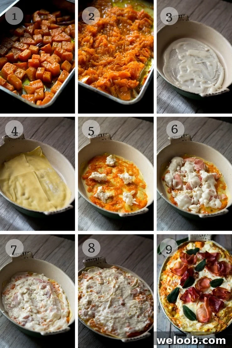 Step by step photos for making butternut squash lasagna with bechamel sauce, sage and prosciutto