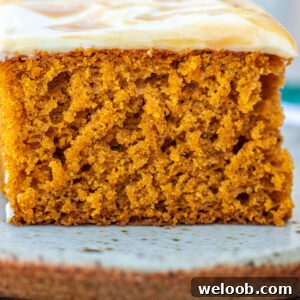 A tall slice of pumpkin cake.