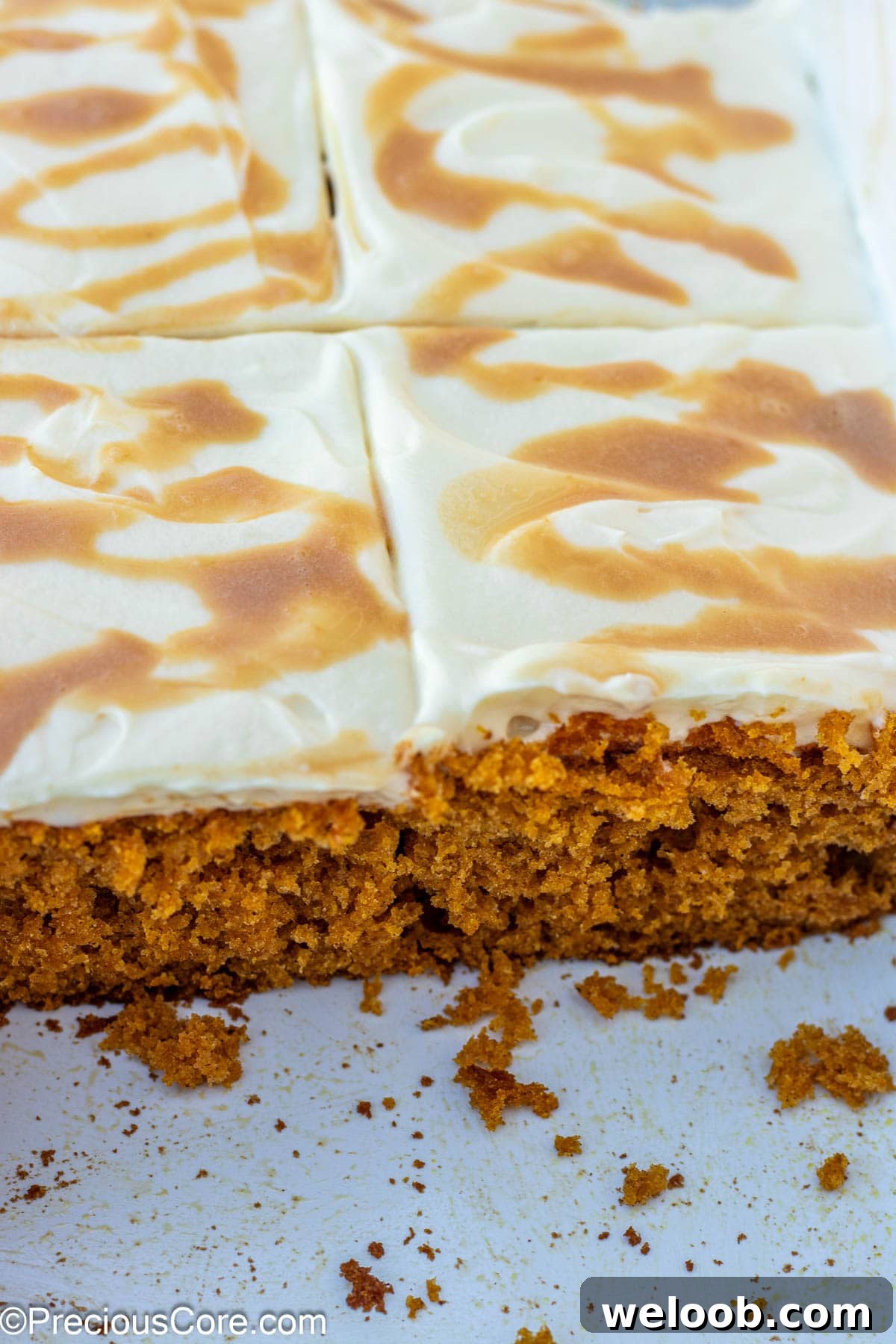 Slices cut out of pumpkin cake.