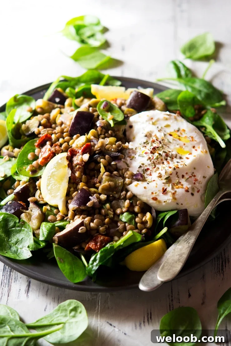 A close up of lentil salad with eggplant and burrata on a plate topped with herbs and spices
