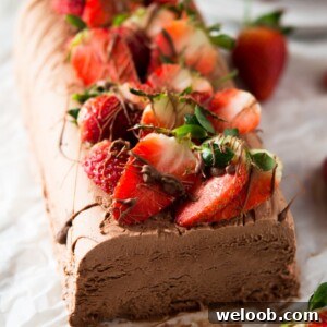 A chocolate semifreddo recipe on a white surface topped with fresh berries