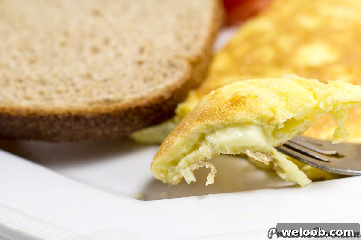 How to make an omelet with cheese