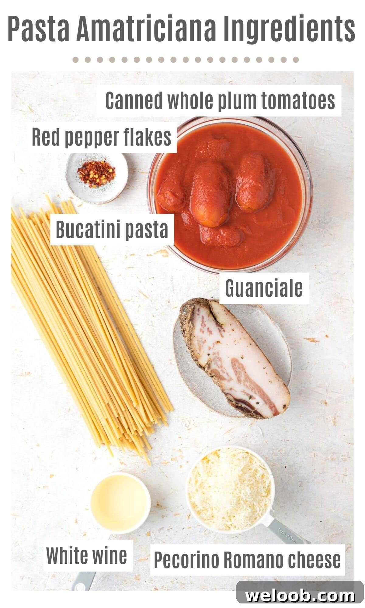 An overhead shot of all the ingredients you need to make Bucatini all'Amatriciana
