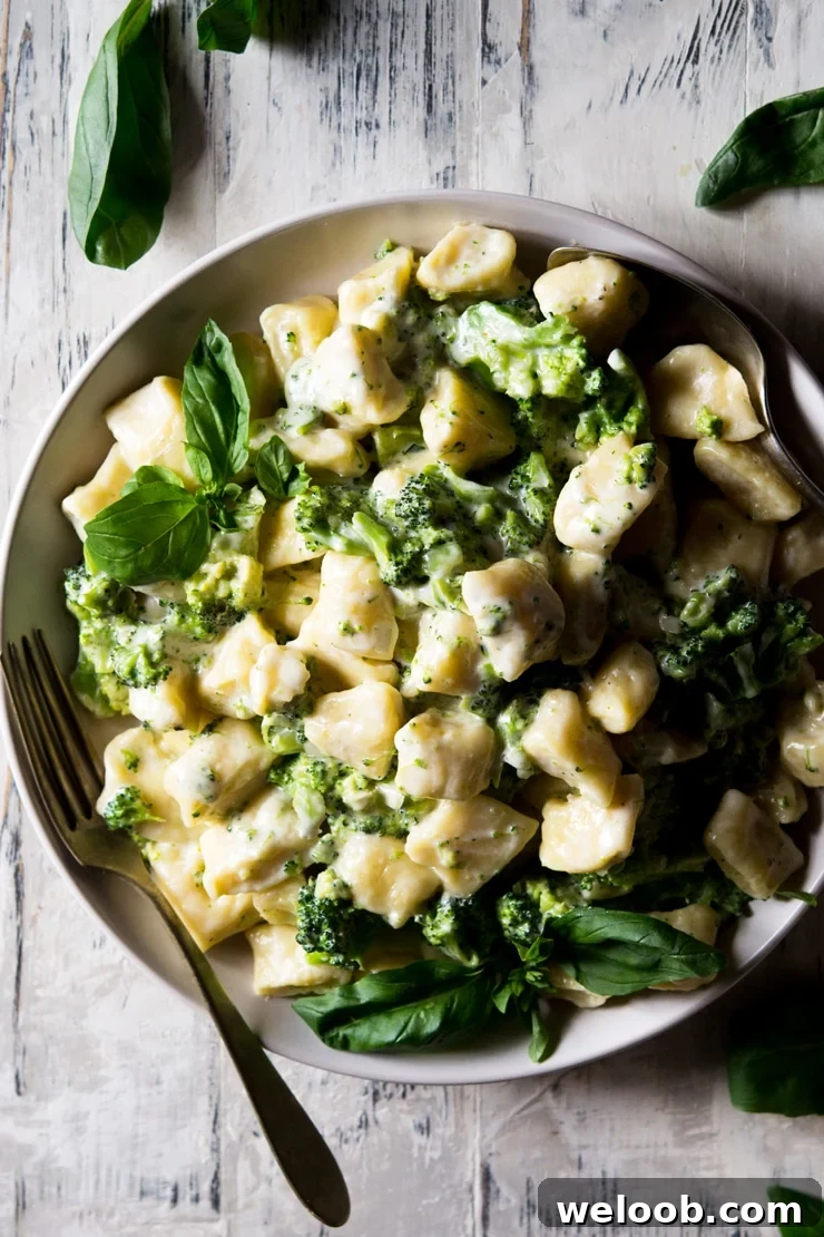 An overhead shot of ricotta gnocchi in a broccoli cream sauce in a large round plate