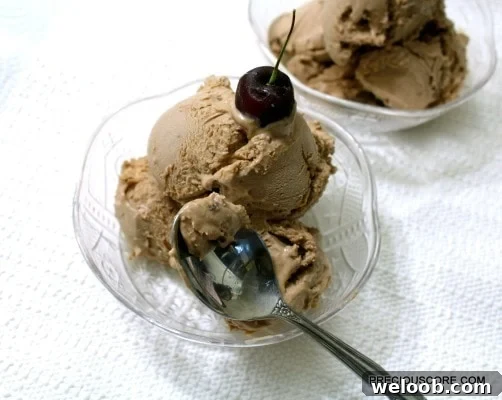 Chocolate ice cream