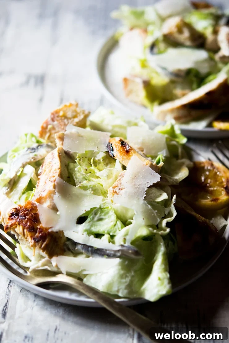 A side shot of a grilled chicken caesar salad on a white plate topped with shavings of parmesan cheese