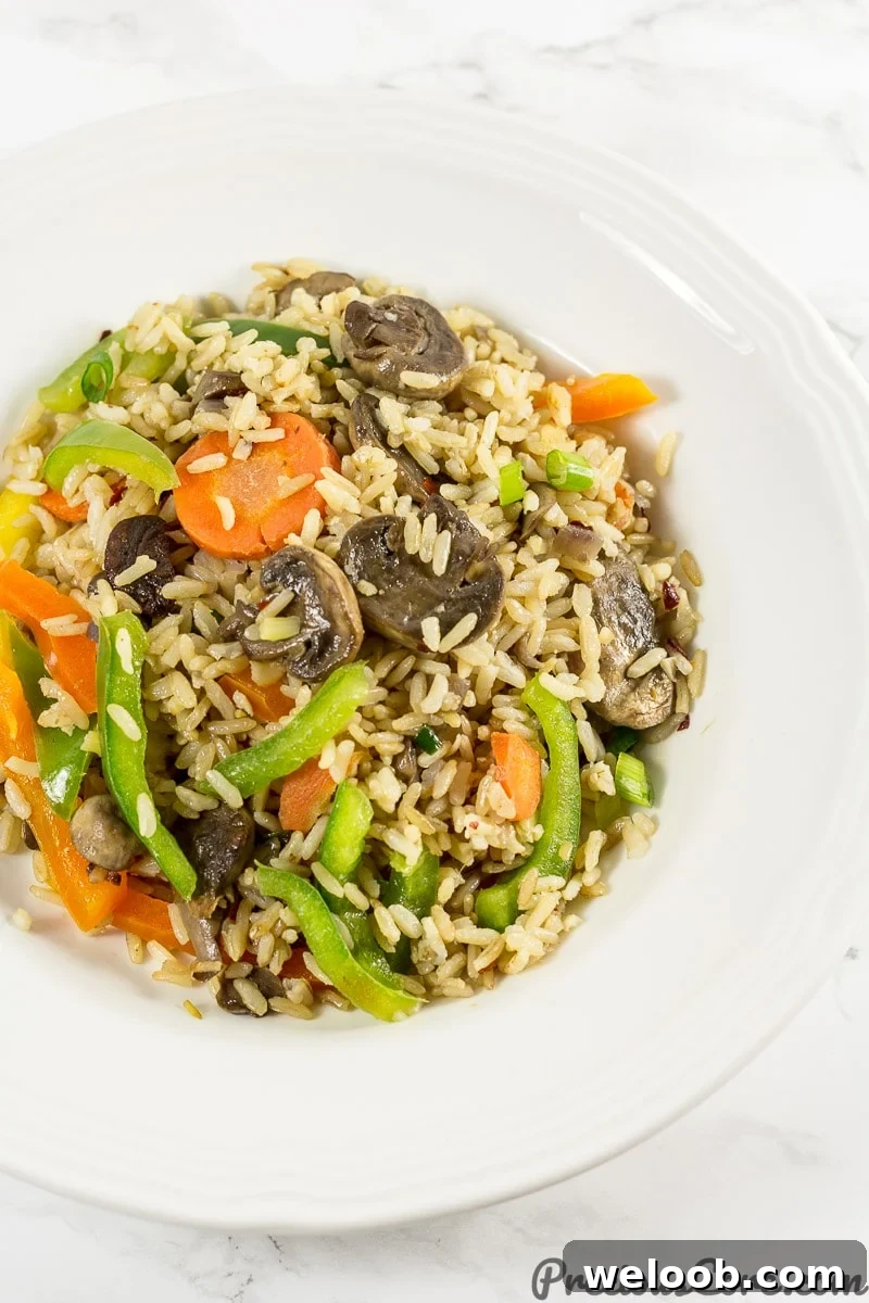 A plate of mushroom fried rice.