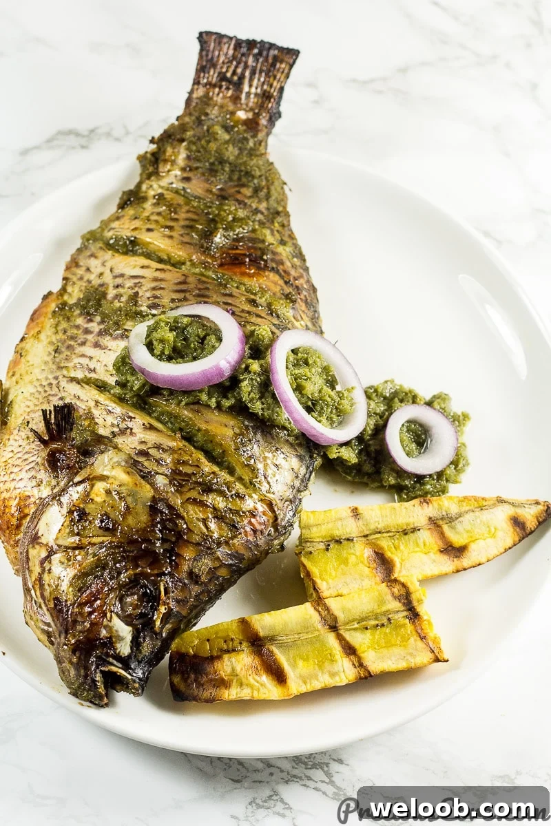 Oven grilled tilapia recipe