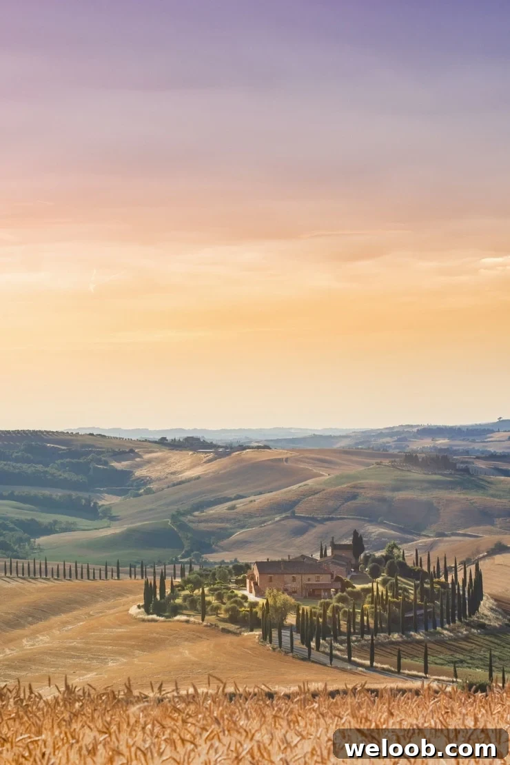 A photo of the Tuscan countryside, an old rustic farmhouse with cypress trees surrounding it