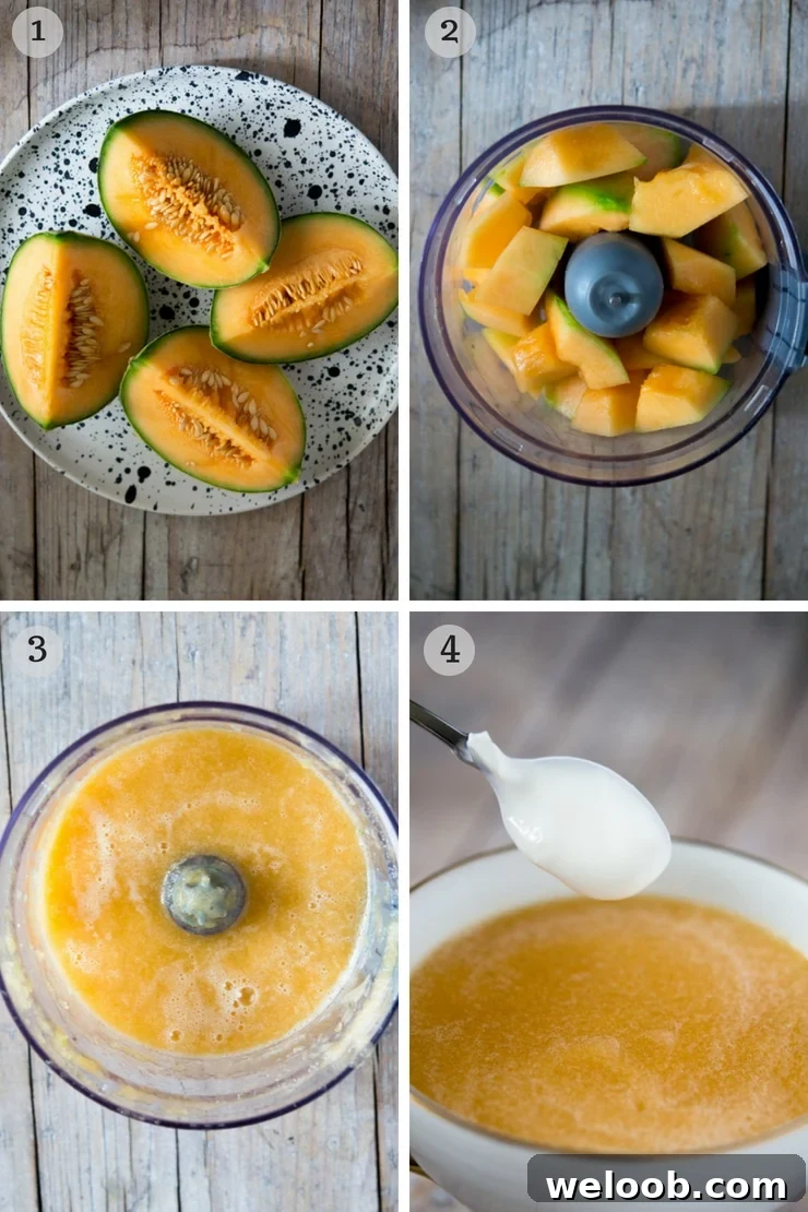 Step by step photos for making melon gazpacho soup