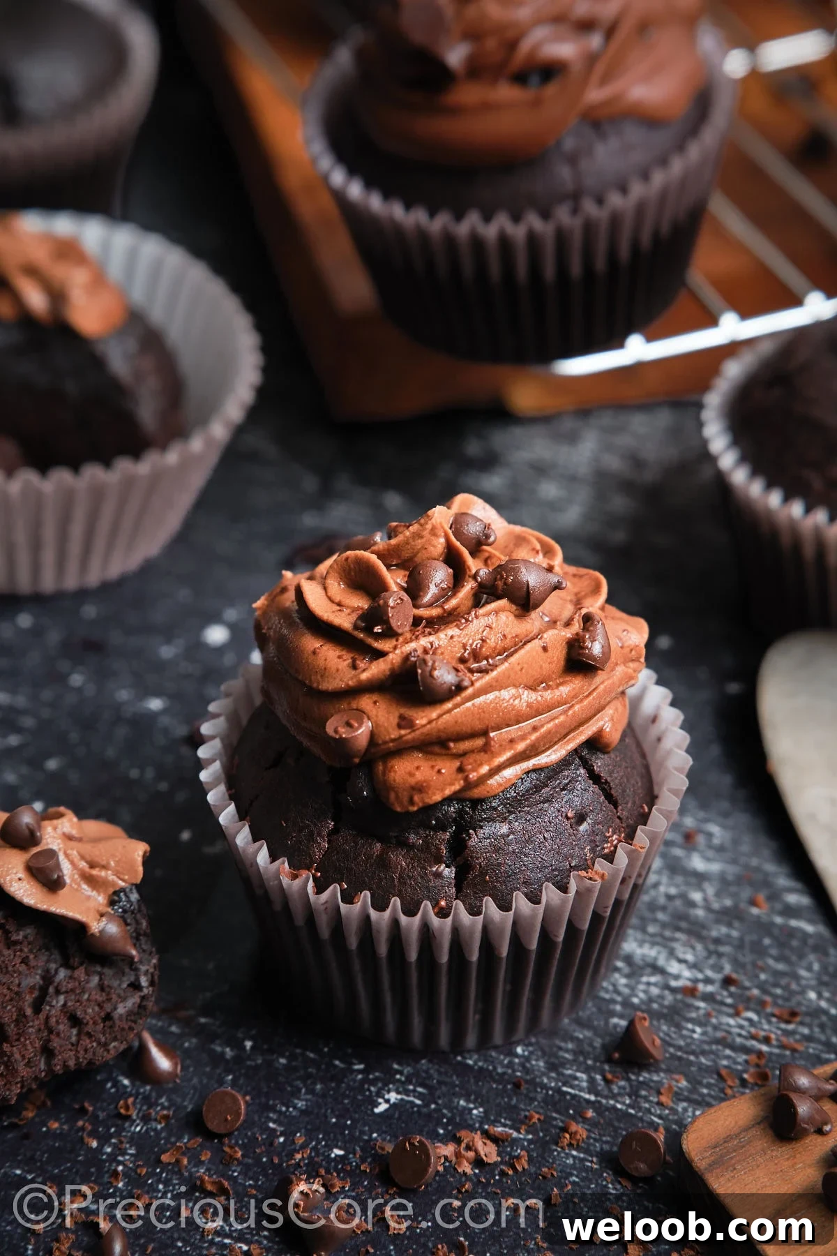A frosted chocolate cupcake topped with chocolate chips.