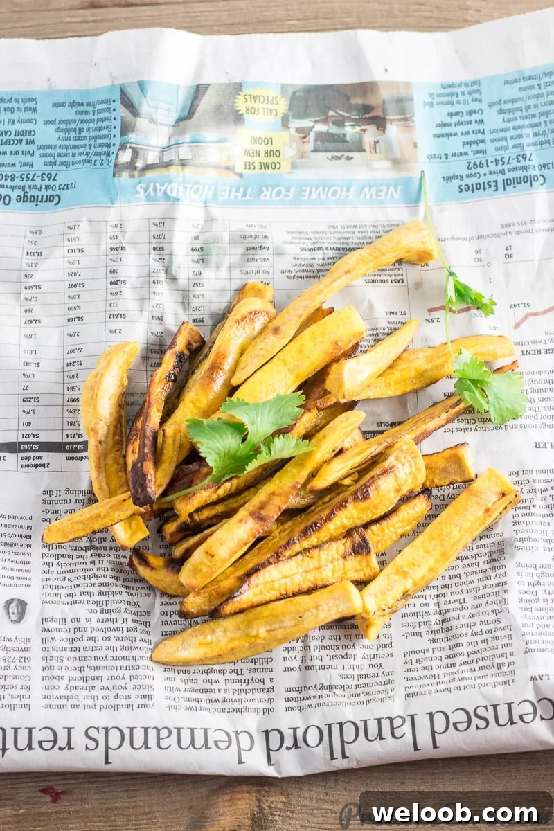 Plantain Fries garnished with cilantro.