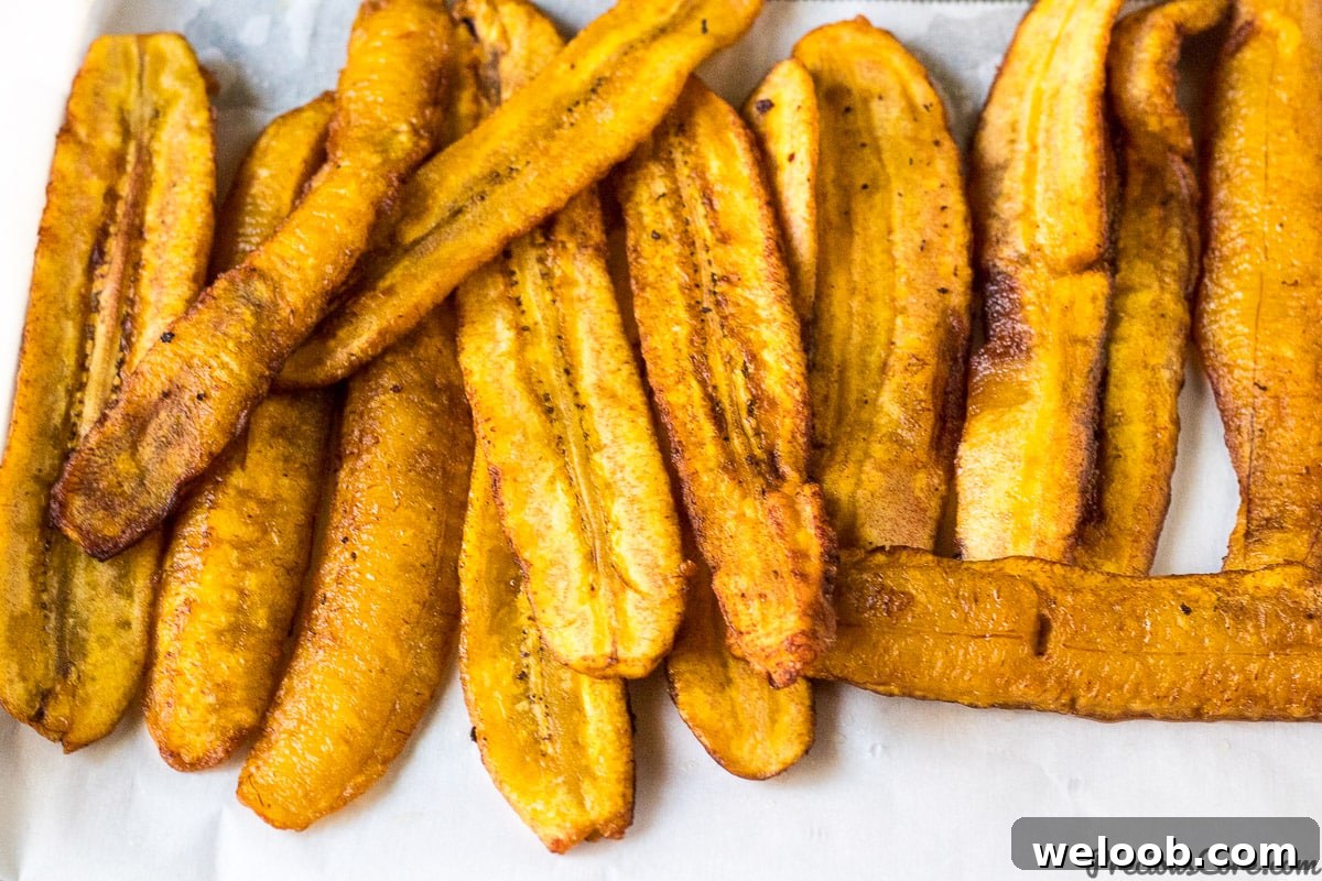 Plantain Slices for Plantain Lasagna