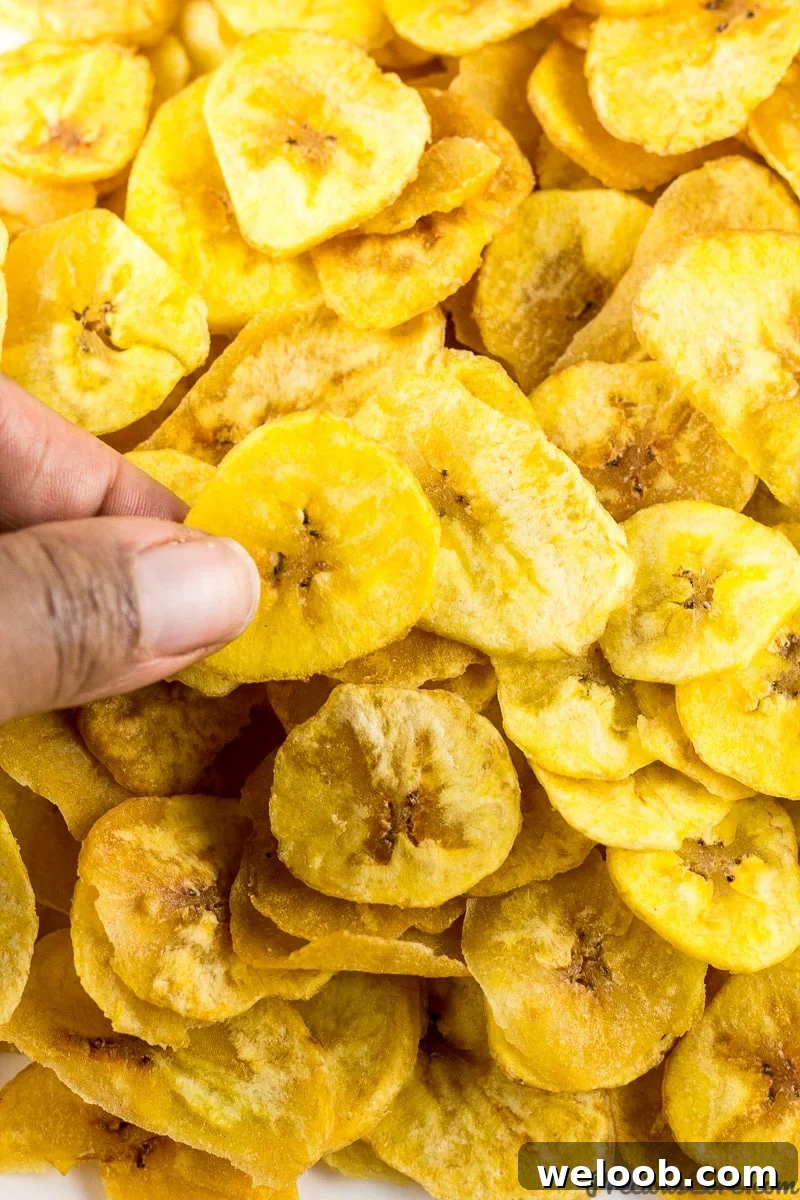 Homemade Plantain Chips Recipe