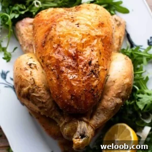 A close up cropped image of a roast chicken on a plate with lemon and arugula.