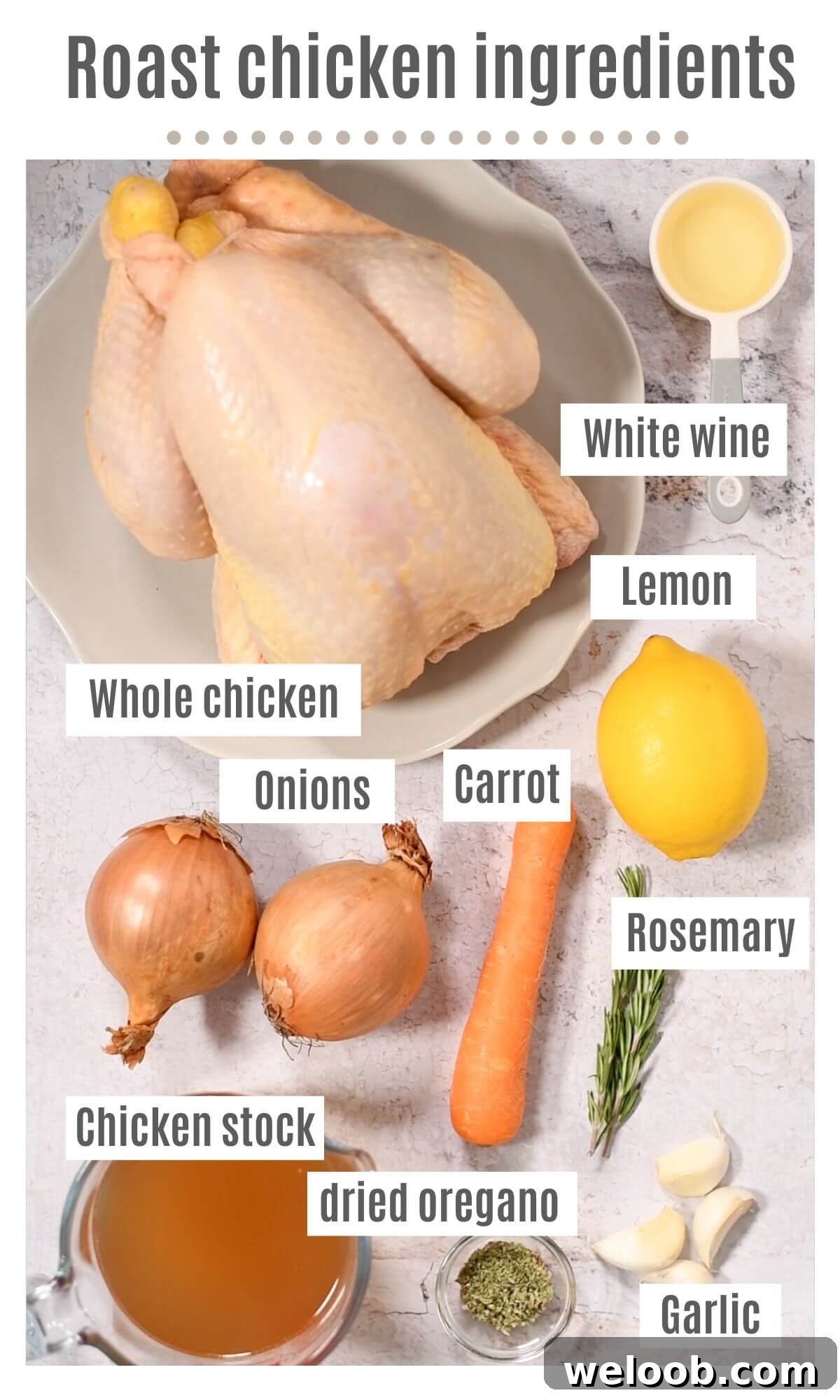 An overhead shot of all the ingredients needed to make a lemon roast chicken.