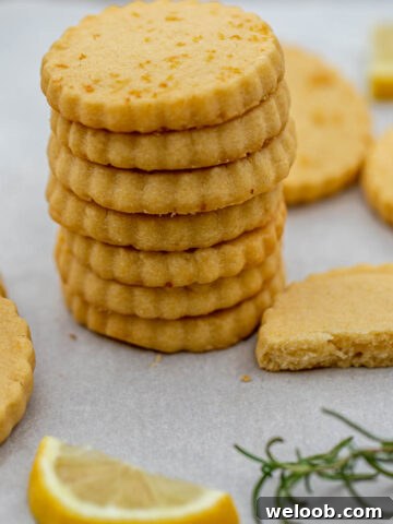 Square image of cookies.