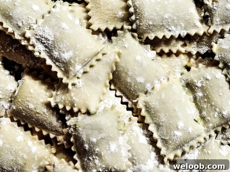 A close up of ravioli cut out perfectly with a ravioli stamp