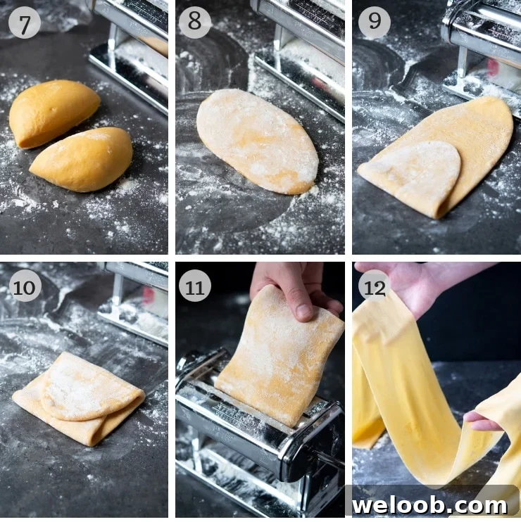 Step by step photos for making homemade pasta dough with a pasta machine