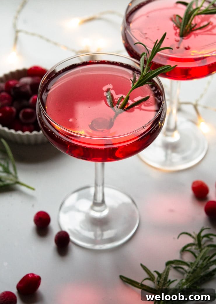 A Christmas cocktail with rosemary and cranberries