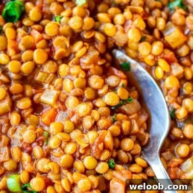 Spoon digging into a bowl of Lentil Stew.