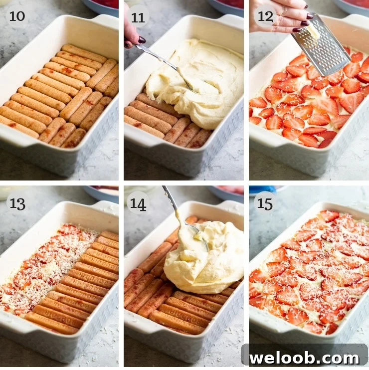 Step by step photos for layering a strawberry tiramisu