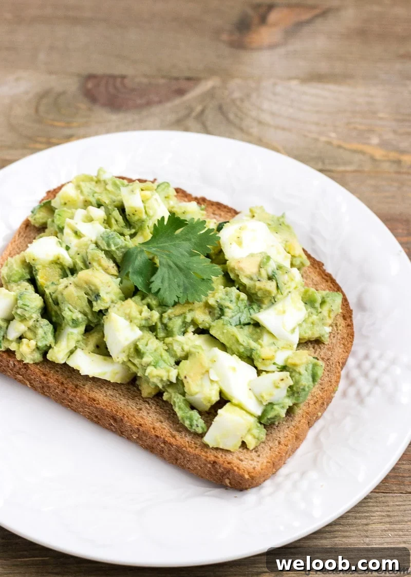 Avocado Egg Salad Served on whole Wheat Toast