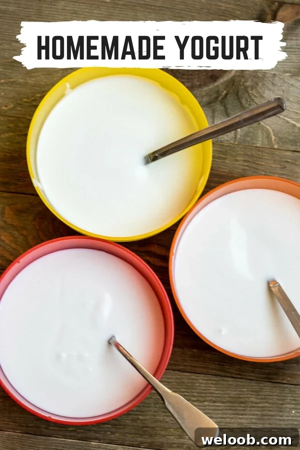 Three bowls of yogurt with spoons.