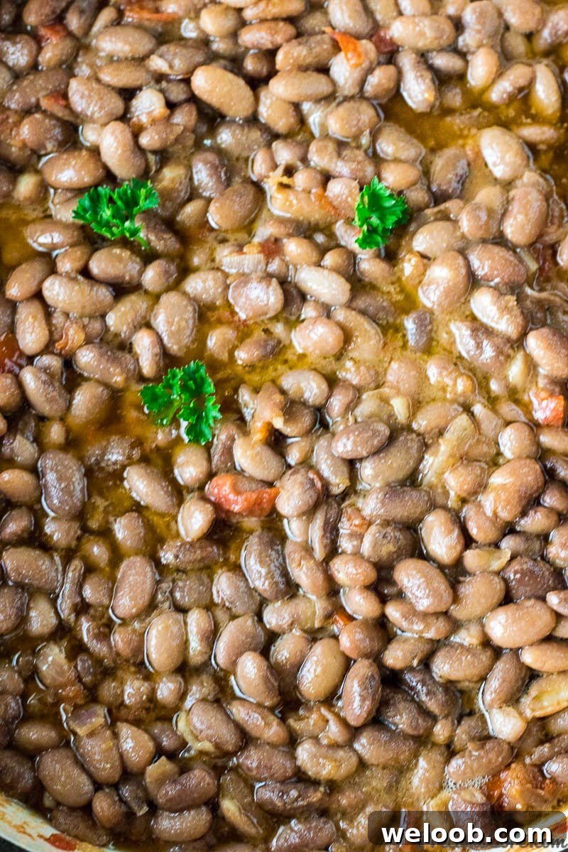 stewed pinto beans