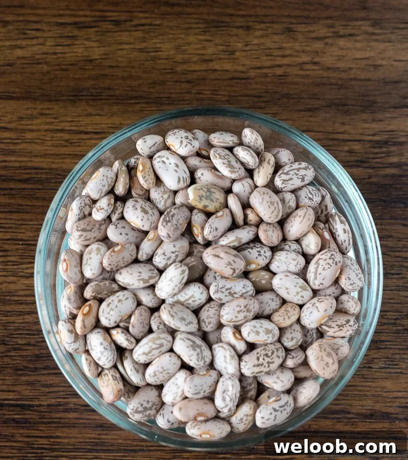 Bowl of dried pinto beans