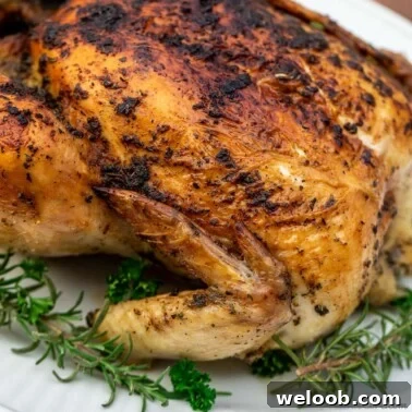 Square image of herb roasted chicken.
