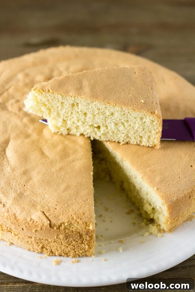 Vanilla Sponge Cake with a slice removed and on a knife.