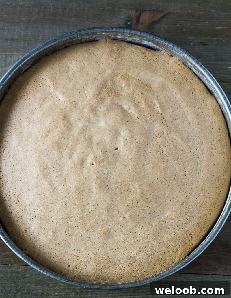 Vanilla Sponge Cake in a cake pan.