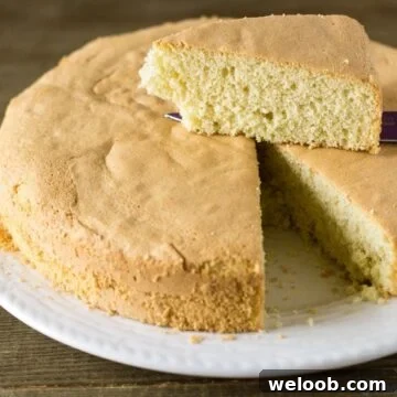 Perfect Vanilla Sponge Cake Recipe