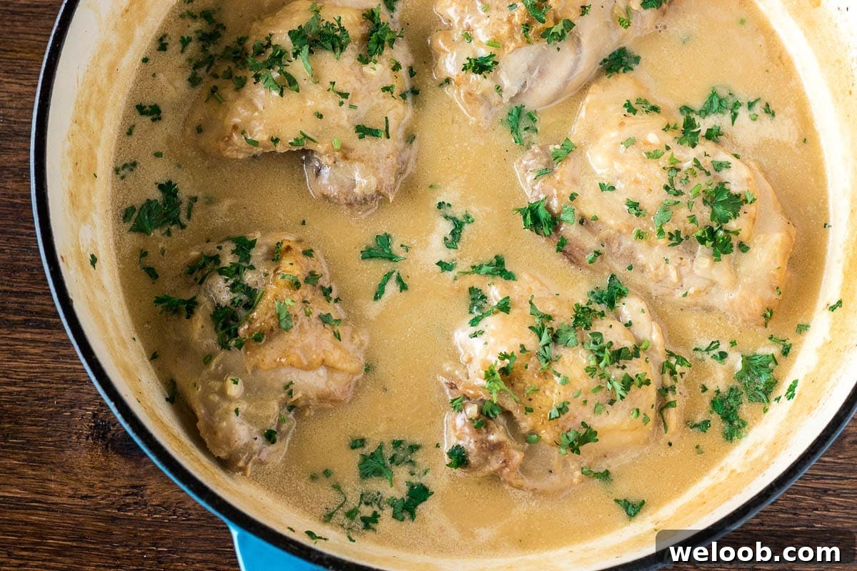 Chicken in White Sauce recipe