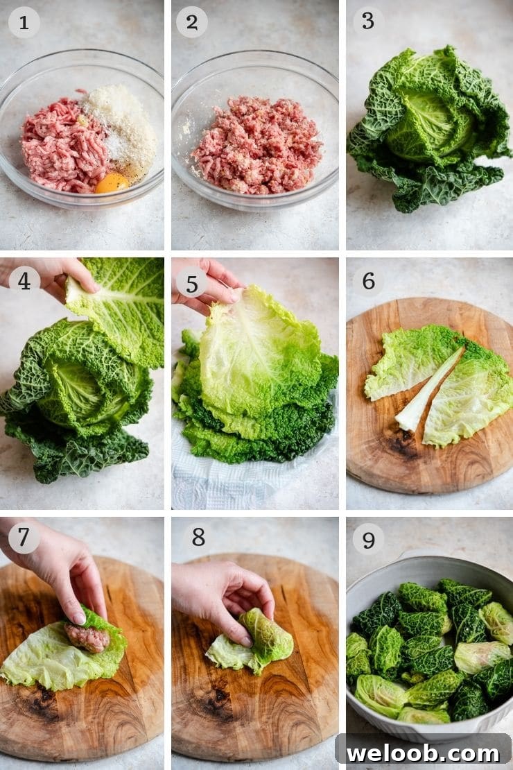 Step by step photos for making Italian stuffed cabbage rolls