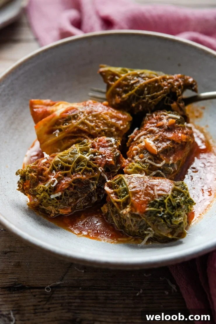 A close up of Italian stuffed cabbage rolls in a rustic bowl with tomato sauce