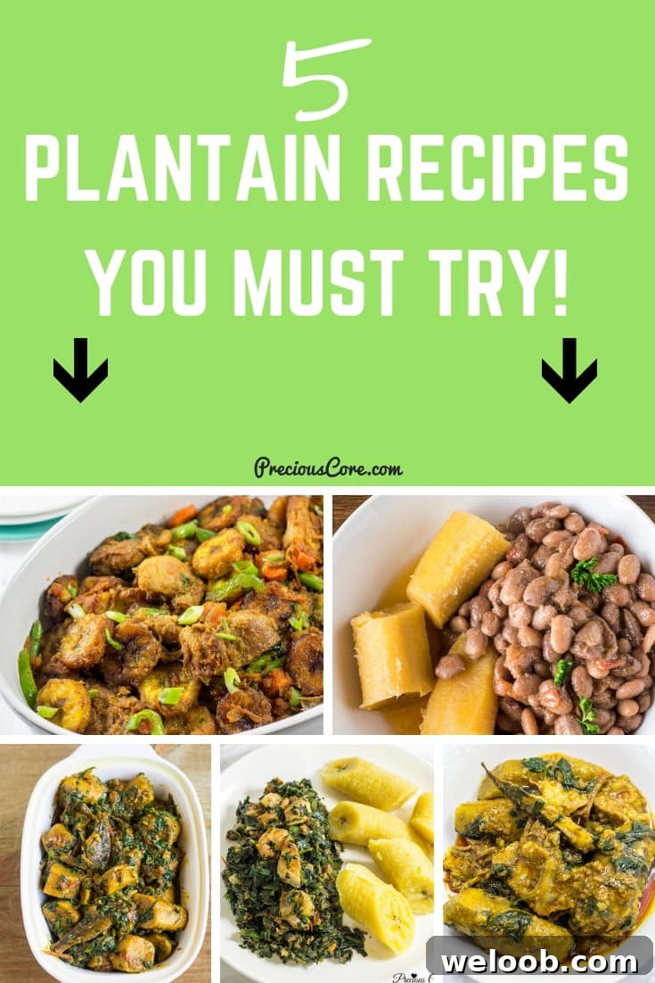 5 Plantain Recipes to try! #Plantain #PreciousCore