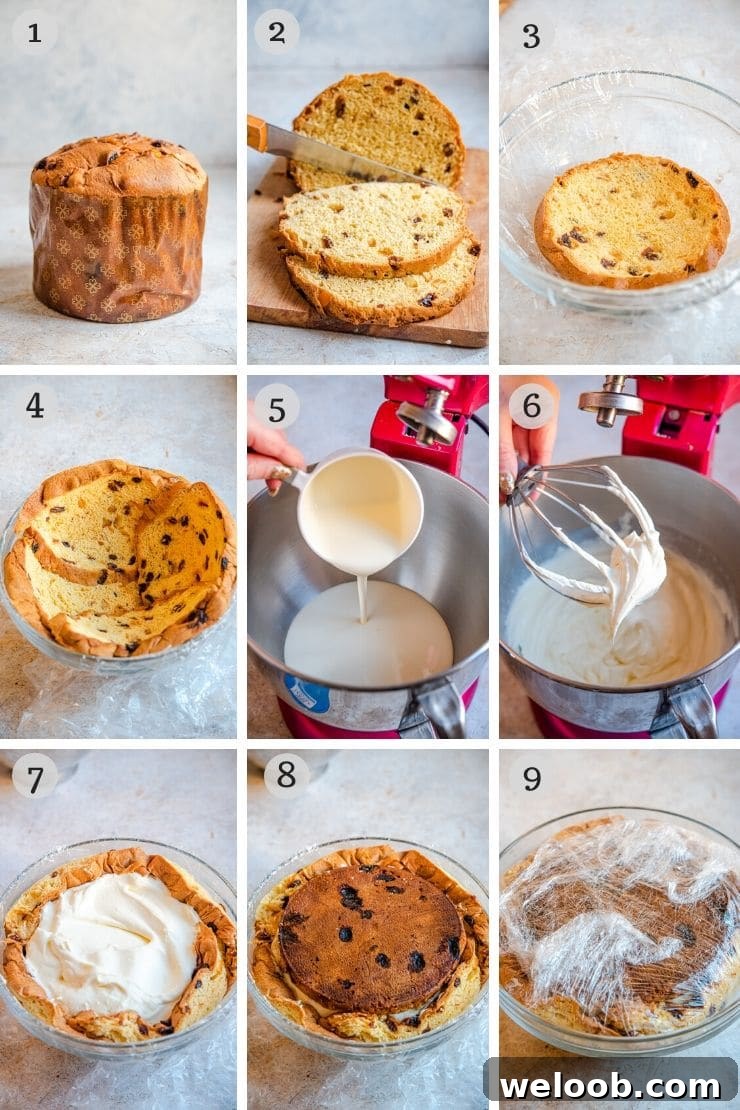Step by step photos for making a christmas ice cream cake