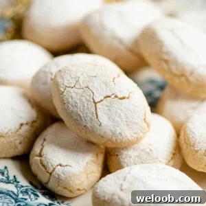 A close up of an Italian almond cookie with cracks and powdered sugar