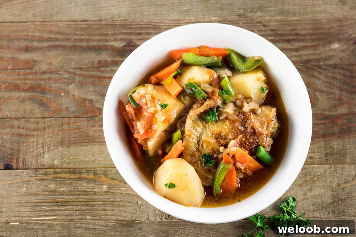 Chicken and Potatoes Stew in a pasta bowl