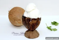 Creamy 4-Ingredient Coconut Ice Cream Recipe