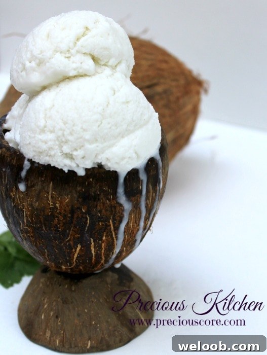 Creamy 4-Ingredient Coconut Ice Cream Recipe 2 serving coconut ice cream