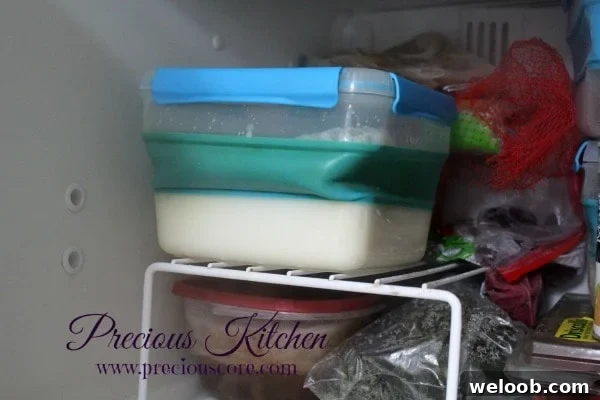Creamy 4-Ingredient Coconut Ice Cream Recipe 6 freezing coconut ice cream