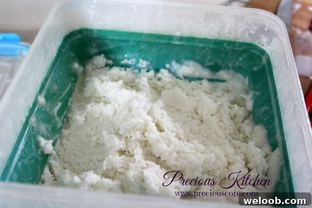 Creamy 4-Ingredient Coconut Ice Cream Recipe 7 coconut ice cream ready to serve